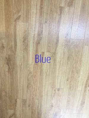 【居間・リビング】 | グレイスコート幸 | 同仕様