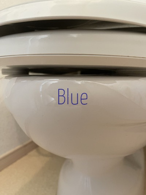 【トイレ】 | グレイスコート幸 | 同仕様