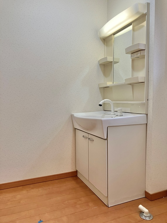 指扇戸建の洗面所