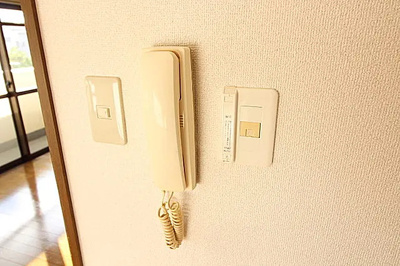 【セキュリティ】 | ラストラーダ大冠