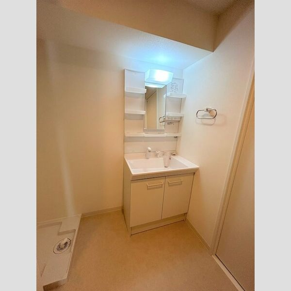 ルビアス上小阪の洗面所