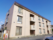 コットンハイツの画像