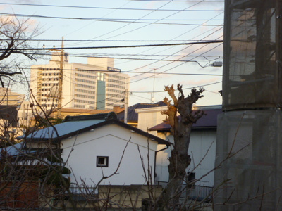 東海大学医学部付属病院まで1200ｍ