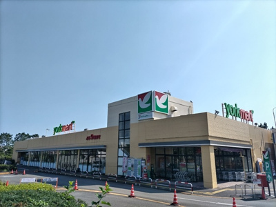ヨークマート 伊勢原店まで1100ｍ