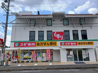 【周辺】 | パインルーツⅠ | スギ薬局様まで1100m