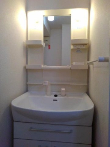 リバーサイドサワナミＣの洗面所