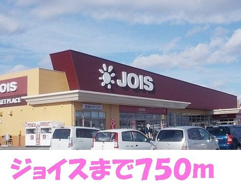 モリーニ・Ｆの周辺|ジョイスまで750m