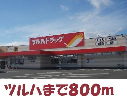 モリーニ・Ｆの周辺|ツルハドラッグまで800m