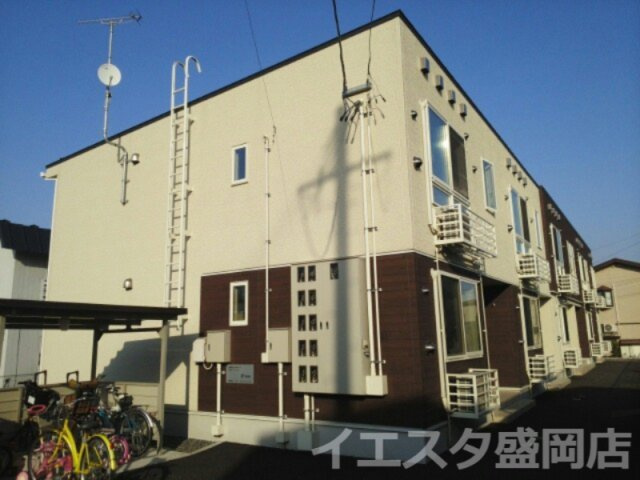 パインボーム・パディＡ