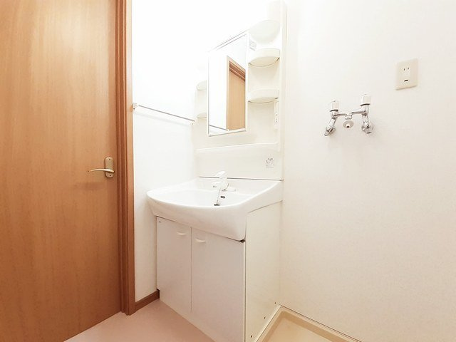 メゾン・ボヌールＦⅡの洗面所