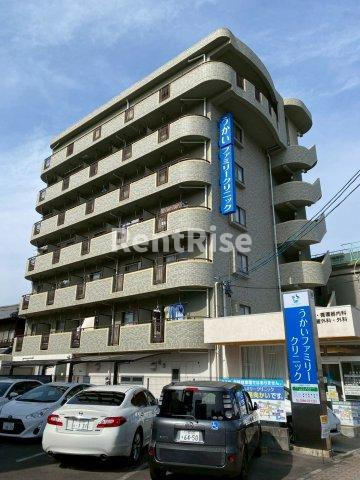 ウェークフォレストブロンド