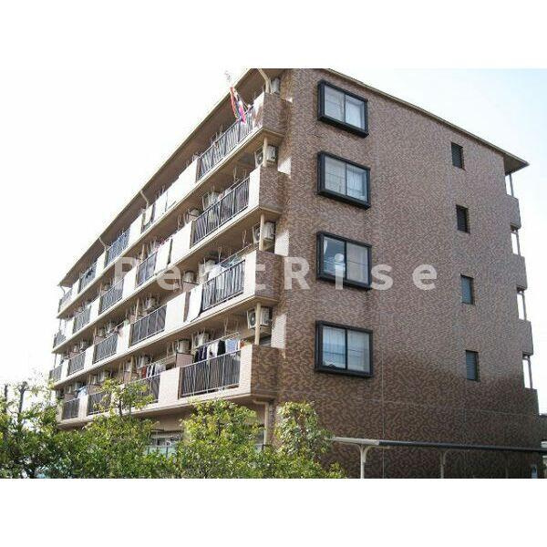 フェリース　アイチ