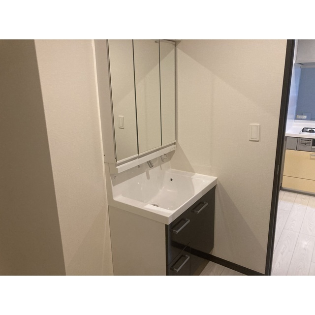 El alivioの洗面所