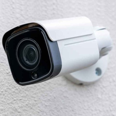 【その他】 | パイン山城