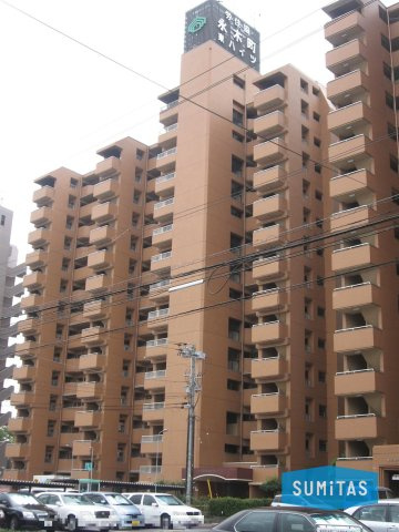 松山市永木町２丁目にあります、1985年14階建てのマンションです♪