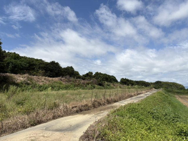 城下町売地（農地）の前面道路含む現地写真
