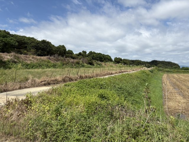 城下町売地（農地）の前面道路含む現地写真