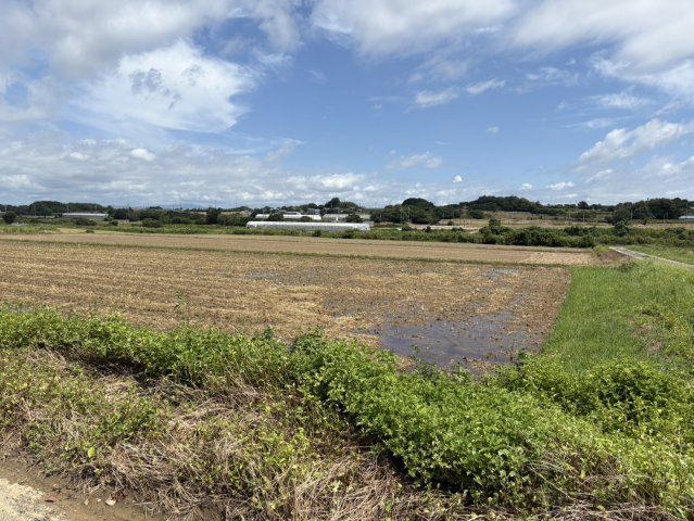 城下町売地（農地）の周辺