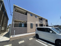 カームパインツリー２１　Ｂの画像