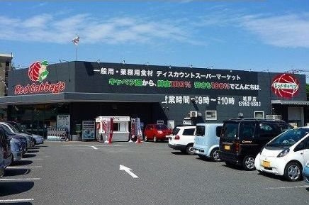 【周辺】 | サンデリアーナⅢ　Ａ | レッドキャベツまで800m