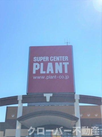 レオパレスシュトラールの周辺