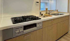 高知市桟橋通4丁目　アルファステイツ桟橋通り中古マンションのキッチン|システムキッチンお料理がはかどりそうですね♪