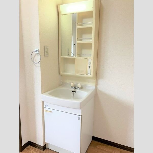 真伝壱番館の洗面所