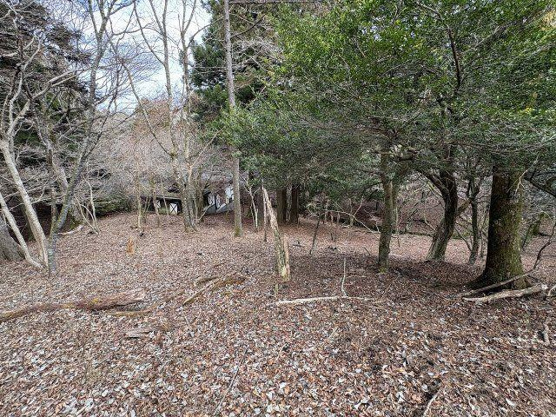 【庭】 | 東急天城高原別荘地　古家付土地