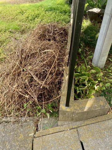 【土地】高崎市本郷町　２筆１００坪の外観