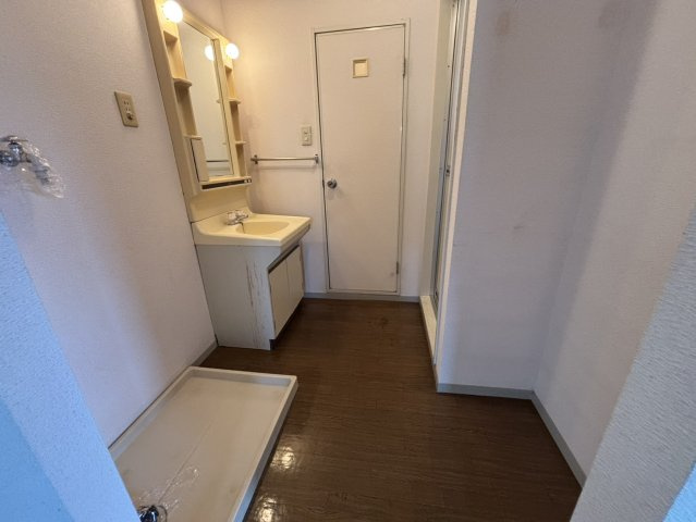 セジュール青島の洗面所