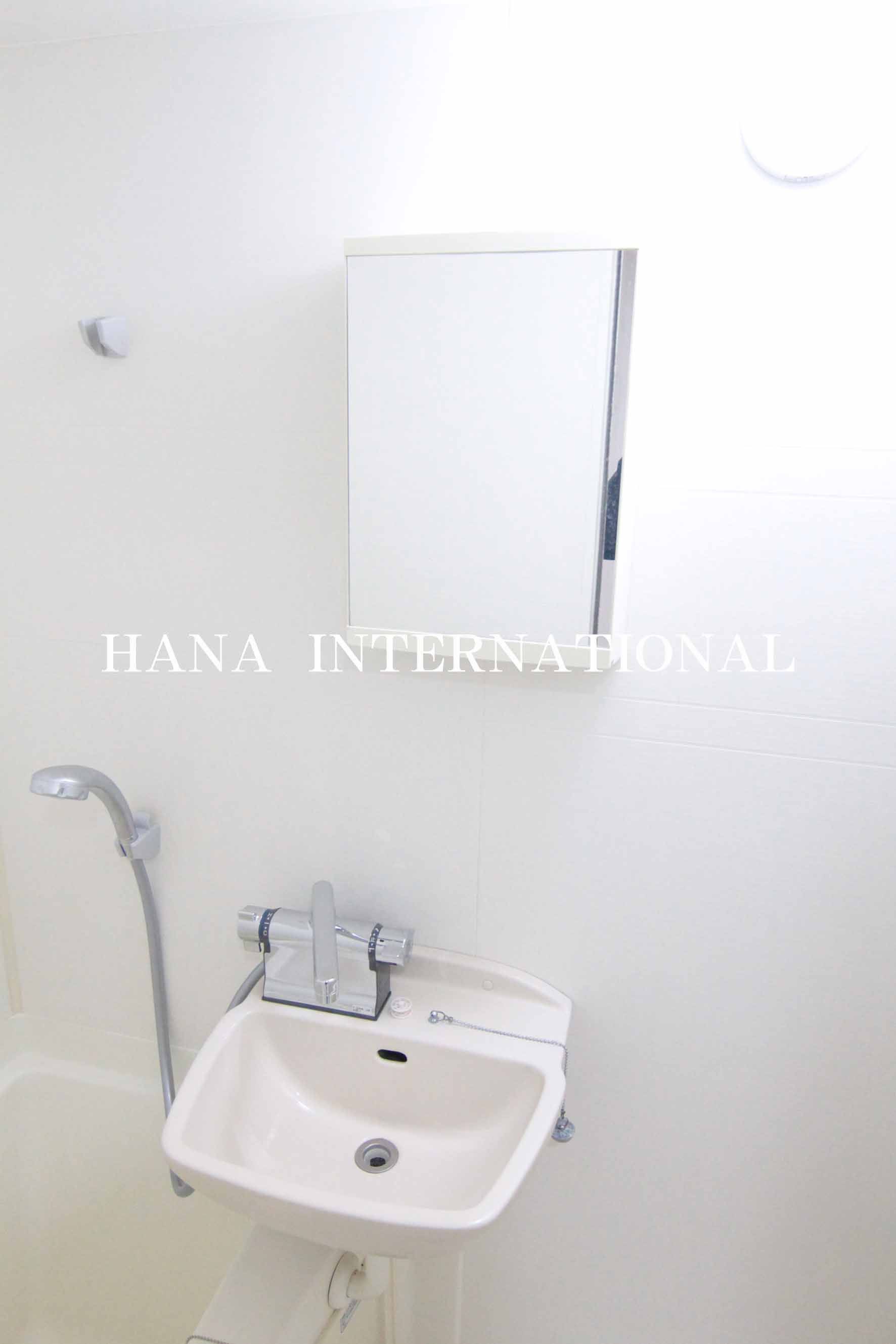 グランシャルム南行徳Ⅰ　F-058の洗面所|他部屋参考写真