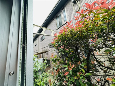 【展望】 | STAR CLOUD洋光台