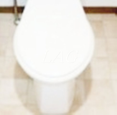 【トイレ】 | エミネンス多摩川 | トイレです。