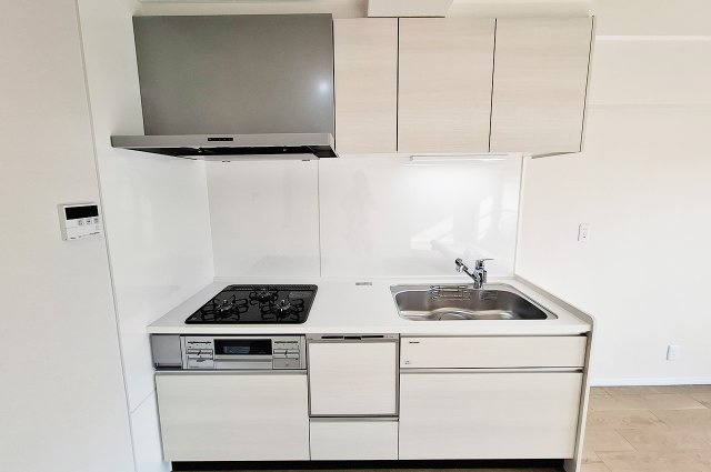 カルム堺B棟のキッチン|キッチン：食洗機・浄水器付きのシステムキッチンを新調済み。