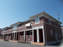 ライブ　ウィルの画像