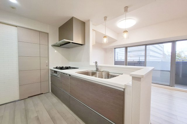 ファミールアクシス泉佐野のキッチン|キッチン：新調済みのシステムキッチン、食洗器・浄水機付き。