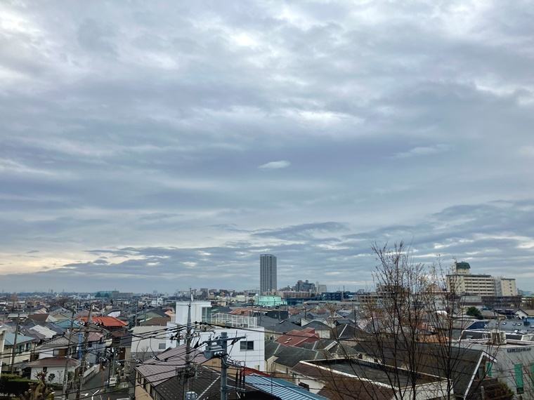 ブランズシティ調布の展望