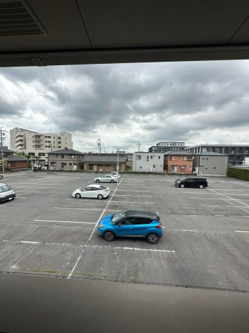 ベルリード弥生の展望