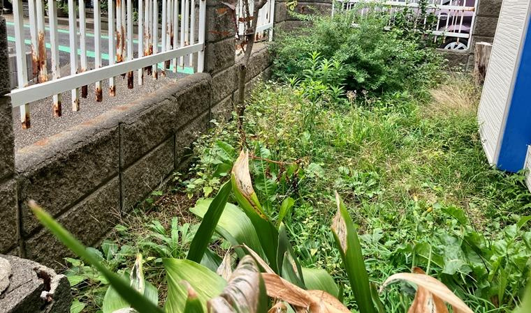 園生町戸建の庭
