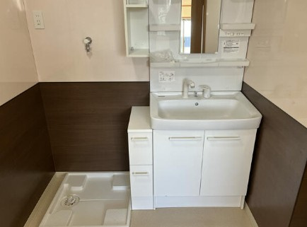 橘ハウスの洗面所