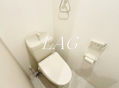 【トイレ】 | ゴールドヒルズⅤ | トイレです。