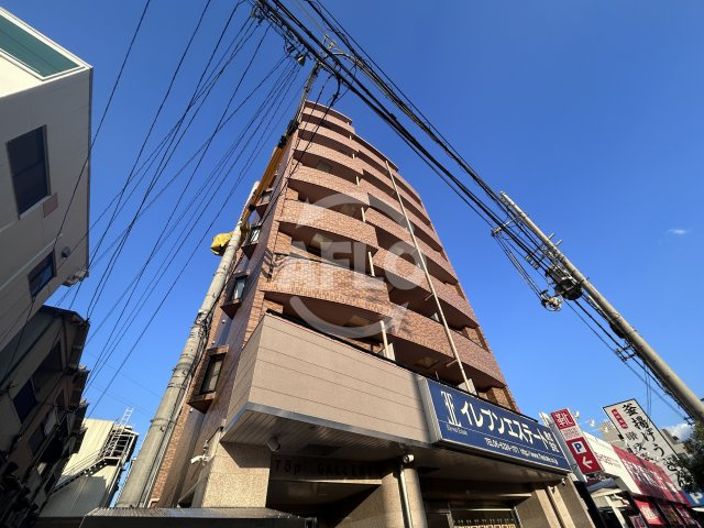 トップギャラリー