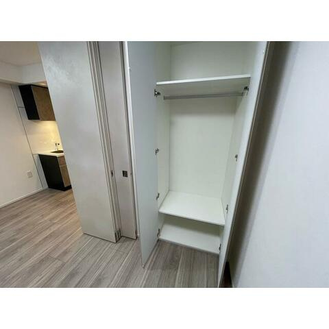 大和市桜森２丁目の賃貸マンションの収納