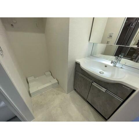 大和市桜森２丁目の賃貸マンションの洗面所