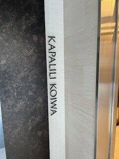 カパリリ小岩のその他