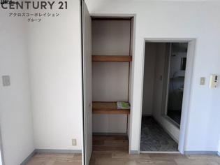 サラス2のその他