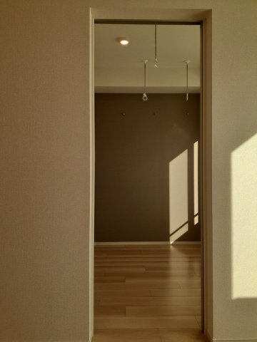 ダンディライオンⅤのその他