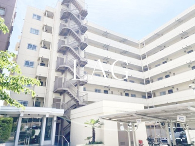 【外観】 | トーア立石マンション | 外観です。