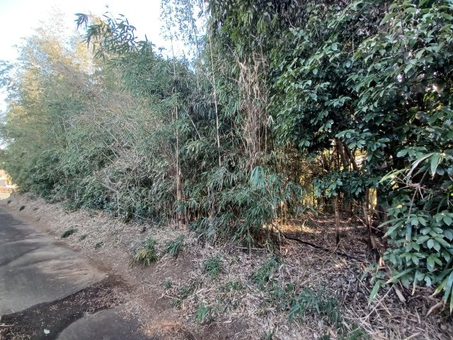 東松山市上野本土地627坪の外観|山林部分