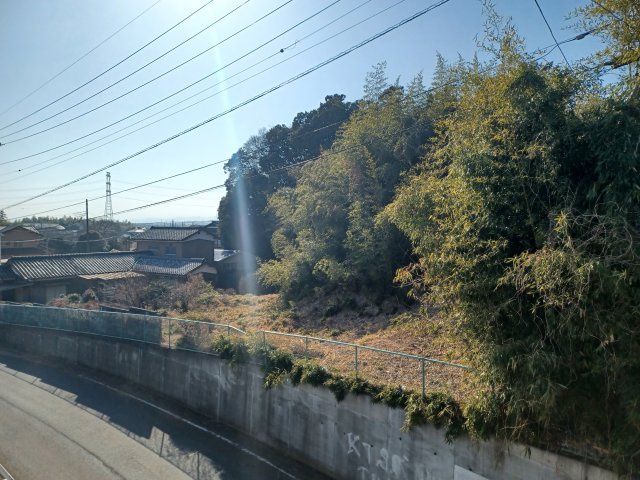 東松山市上野本土地627坪の外観|山林部分